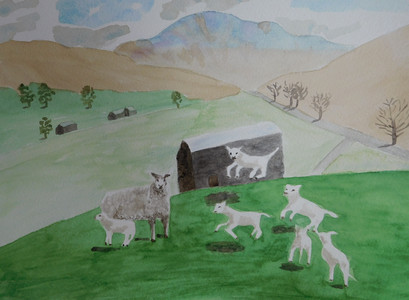Christine C. Lambs, watercolour. 1.21.jpg